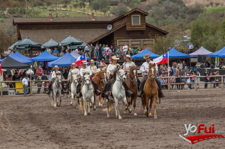 Show de Caballos de Paso Peruano