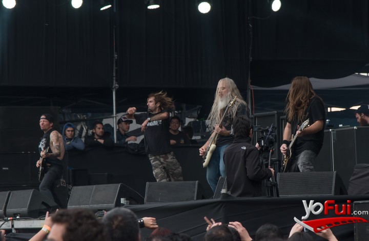 Lamb Of God