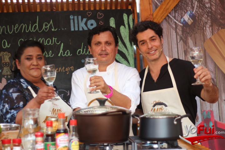 Fotografía en ILKO en Mercado Paula Gourmet 2015, Parque Araucano