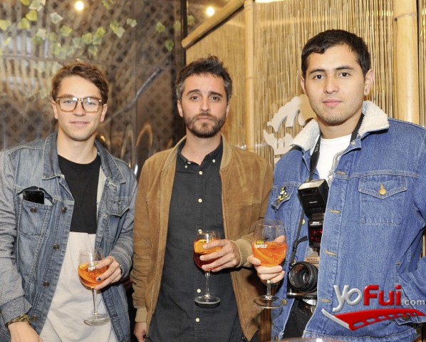 Juan Donoso, Augusto Matte, Francisco Ávila