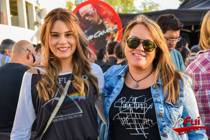 Ana Sepúlveda, Ana Palma