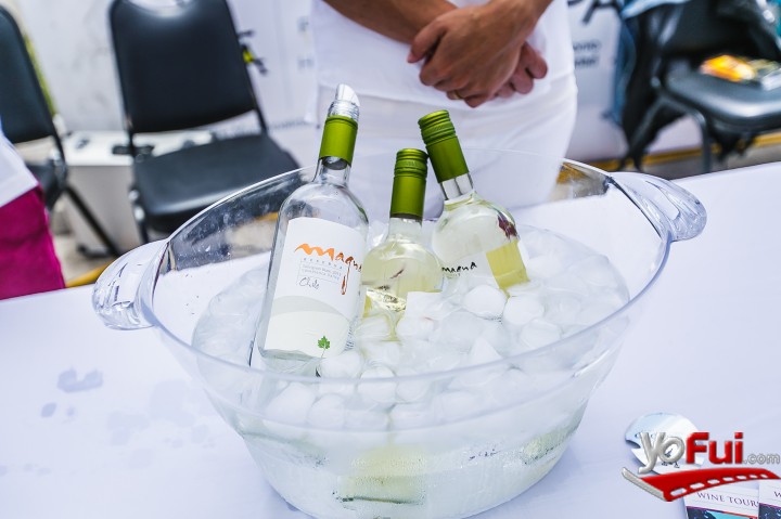 Sauvignon Blanc by the Sea 2016