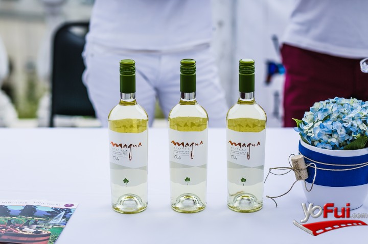 Sauvignon Blanc by the Sea 2016