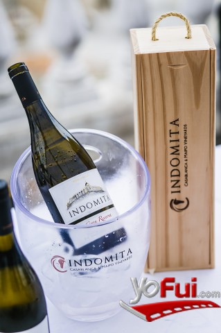 Sauvignon Blanc by the Sea 2016
