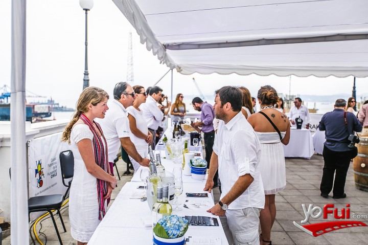 Sauvignon Blanc by the Sea 2016