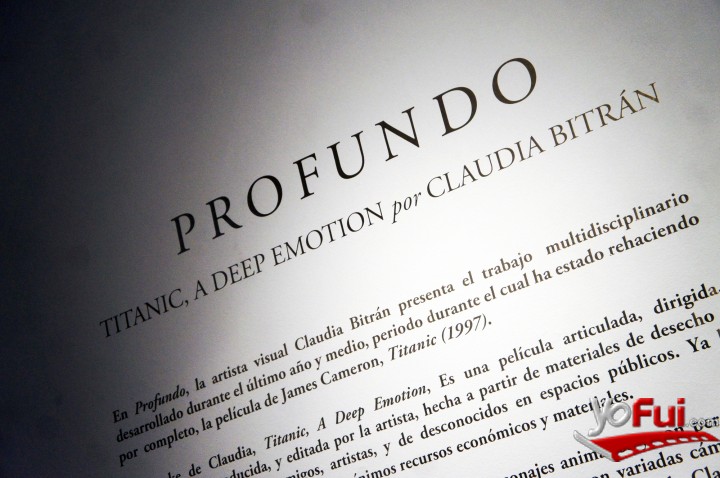 Fotografía en Inauguración exposición PROFUNDO de la artista Claudia Bitrán, Museo de Artes Visuales (MAVI)