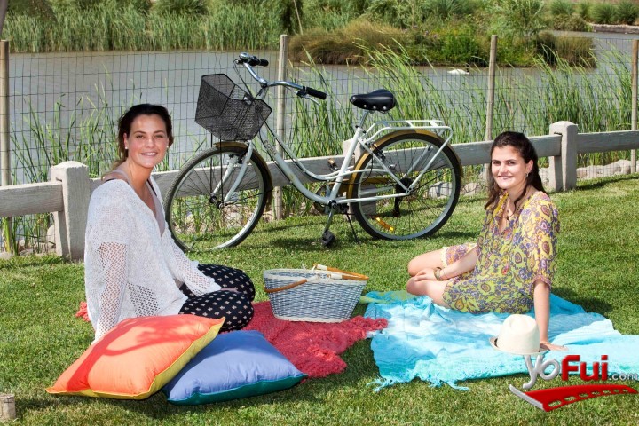 María Eugenia Lehuedé, Cecilia Larroulet