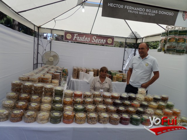 Fotografía en Fiesta de la Vendimia 2016 Colchagua-Santa Cruz, Plaza de Armas de Santa Cruz