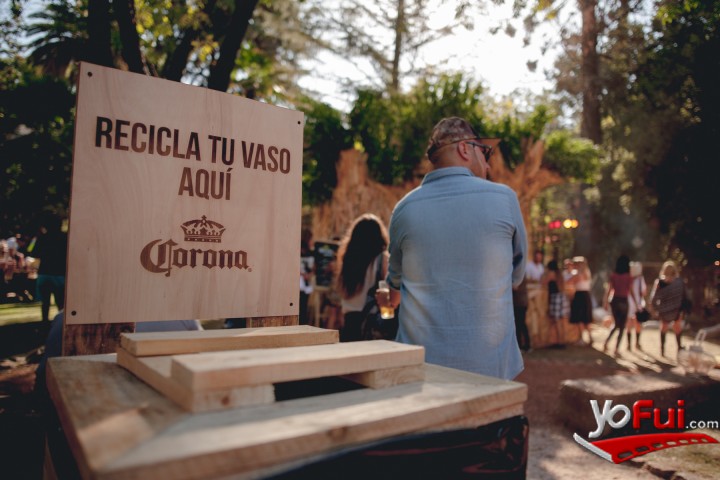 Fotografía en El árbol Corona en Lollapalooza 2016, Parque O'Higgins