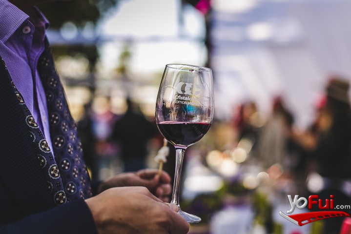 Fotografía en Fiesta de la Vendimia Casablanca 2016, Plaza de Armas
