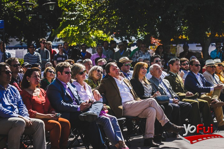 Fiesta de la Vendimia Casablanca 2016