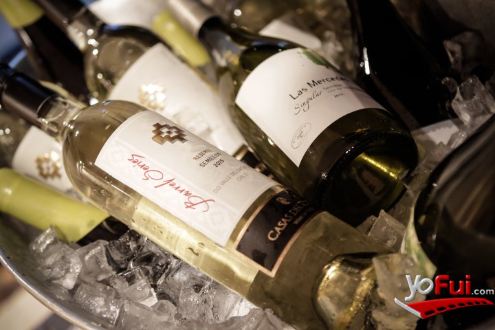 Fotografía en Viñas chilenas se unen para revalorizar la Cepa Semillón, Hotel Renaissance Santiago