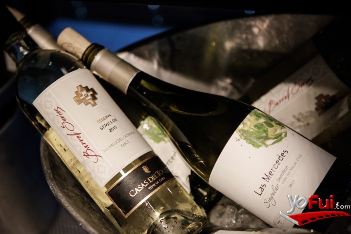 Fotografía en Viñas chilenas se unen para revalorizar la Cepa Semillón, Hotel Renaissance Santiago