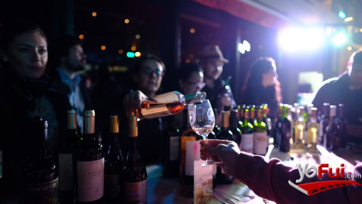Barra Vinomio + Ruta de la Vid, un recorrido por los valles de Chile