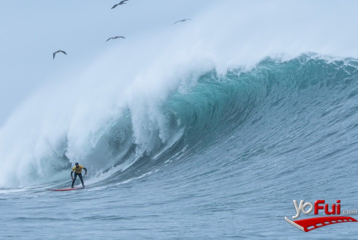 Fotografía en Guillermo Satt se coronó campeón del Corona Triales 2016, Punta de Lobos