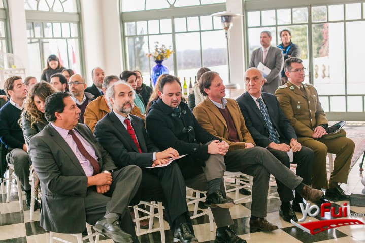 Fotografía en Viñedos Casablanca Route son reconocidos con el Sello de Origen, Viñamar del Valle de Casablanca