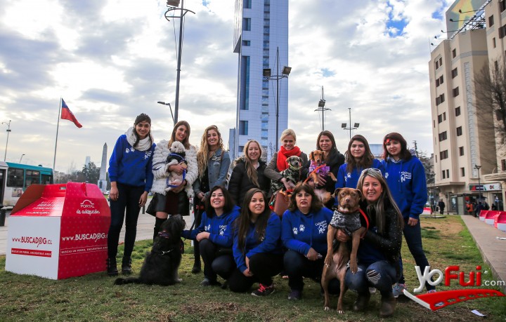 Equipo Fundación Callejeros Buscan Hogar e invitadas
