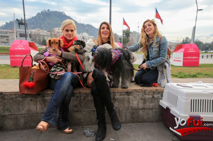 Eliana Albasetti, Mariana Marino, Daniela Castro