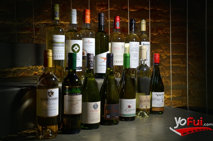 Fotografía en Valle de Curicó presentó sus Sauvignon Blanc 2016, Hotel Magnolia