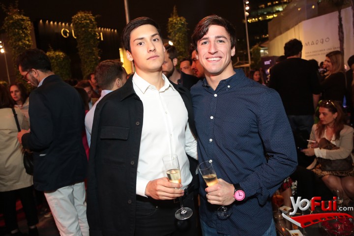 Diego Norambuena, Luis Felipe Grez