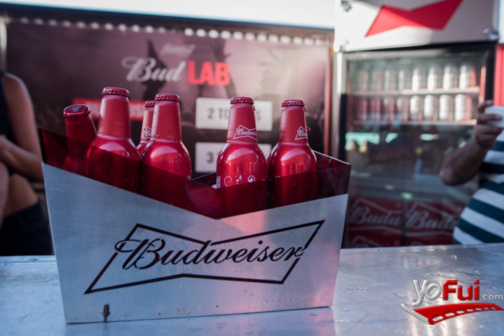 Fotografía en Creamfields en Espacio Budweiser, Club Hípico