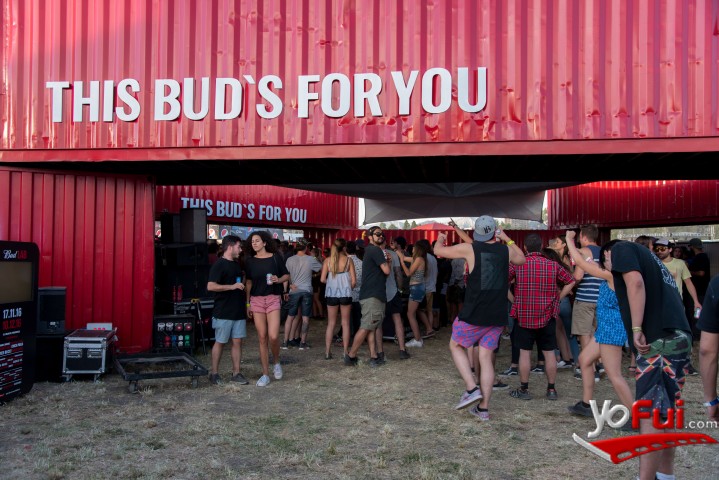 Fotografía en Creamfields en Espacio Budweiser, Club Hípico