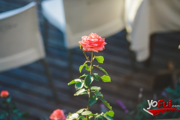 Fotografía en Premiación de los Best of Wine Tourism Awards 2017, Restaurante Portofino