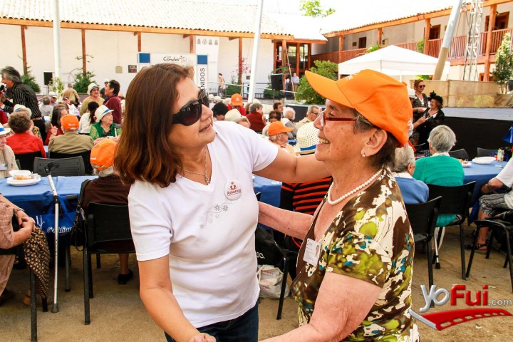 Fotografía en XIII  versión de “Caravana Solidaria por el Adulto Mayor”., Varias comunas de Santiago