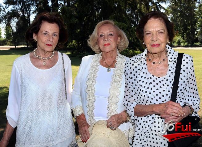 Elvirita Nieto, Carmen Valdovinos, Patricia Claro