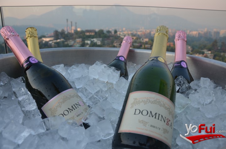 Fotografía en Amantes de las burbujas celebran fin de año en fiesta Dominga, Piso 21 del Hotel W
