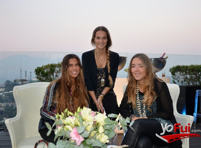 Pilar Soffia, Rosario Larraín, Dominga Silva