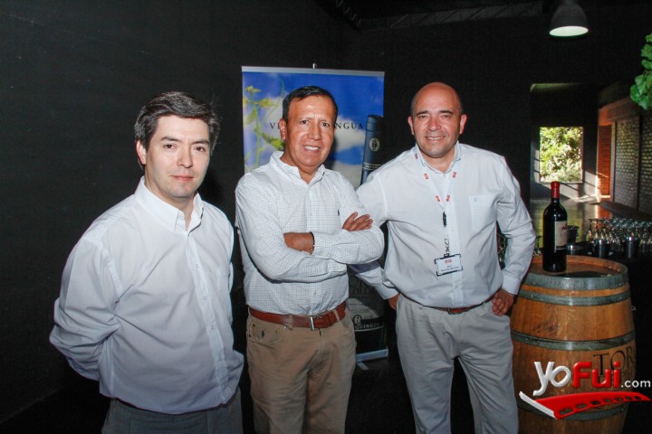 Hernán González, Oscar Garrido, Aliro Ramírez