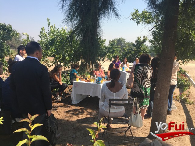 Desayuno UC