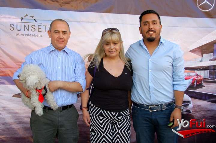 José Palma, Norma Palma, Héctor Palma