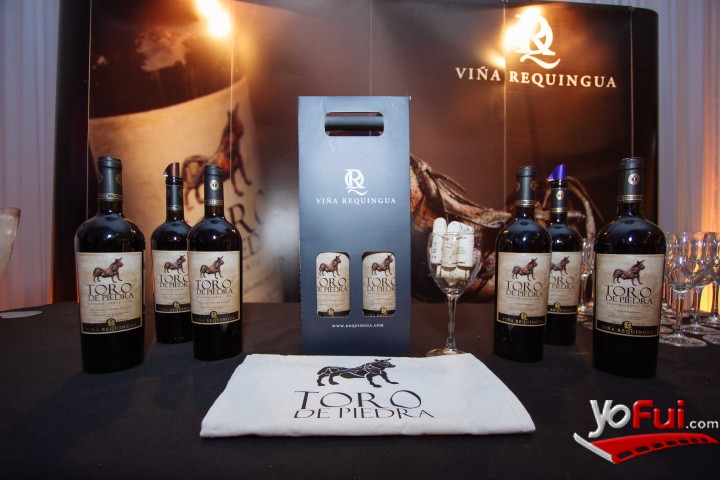 Fotografía en Toro de Piedra encanta en el VIP del Festival de Viña del Mar, Carpa VIP