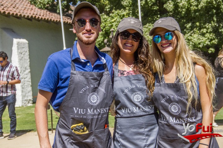 YoFui.com Viu Manent celebra el inicio de la vendimia en Colchagua, Viña Viu Manent (7369)