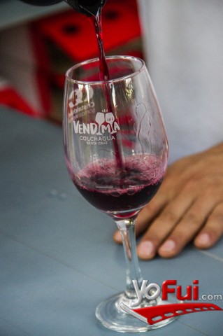 Fotografía en Viu Manent celebra el inicio de la vendimia en Colchagua, Viña Viu Manent