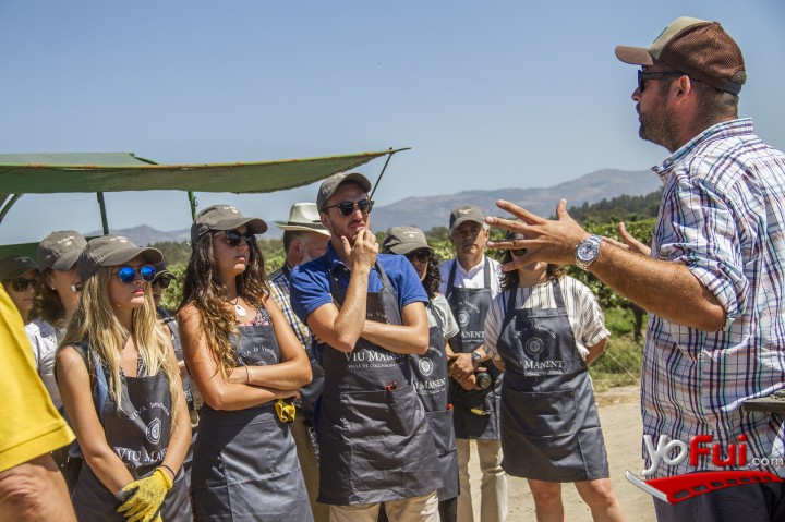 Fotografía en Viu Manent celebra el inicio de la vendimia en Colchagua, Viña Viu Manent