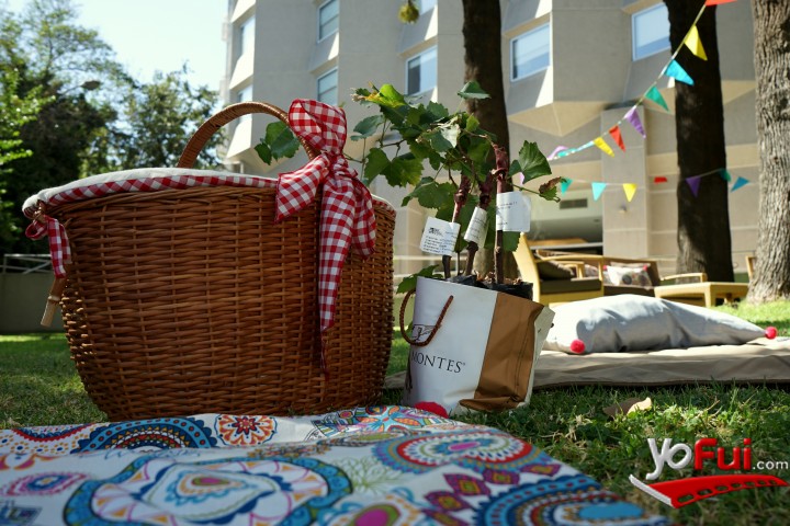 Fotografía en Viña Montes y Sheraton cierran el verano con picnic familiar, Hotel Sheraton