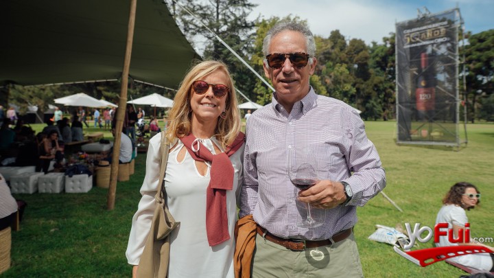 Amelia Errázuriz, Pablo Abelli