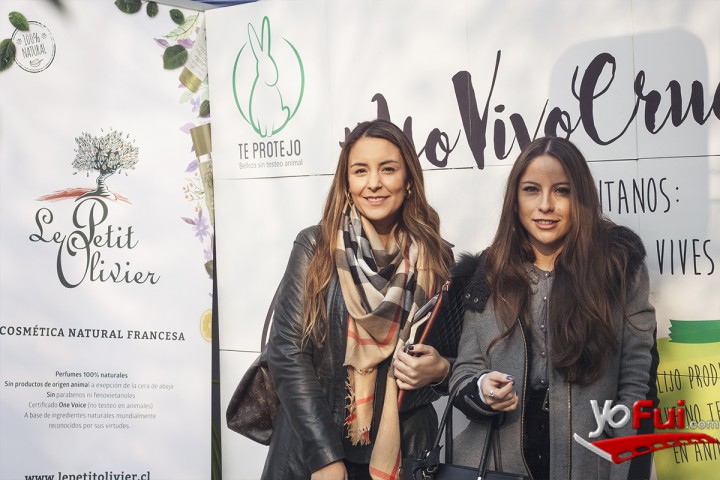 YoFui.com Le Petit Olivier y Te Protejo, La Casa De La Gata Horacia (7516)