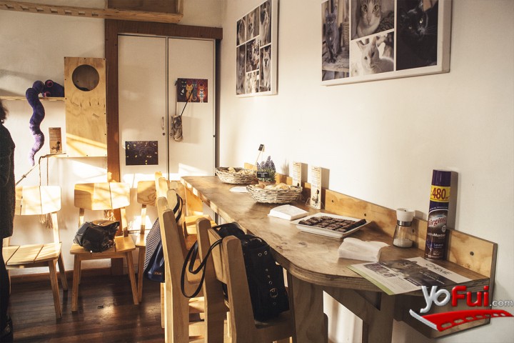 Fotografía en Le Petit Olivier y Te Protejo, La Casa De La Gata Horacia