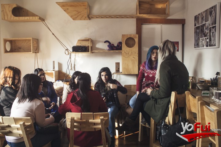 Fotografía en Le Petit Olivier y Te Protejo, La Casa De La Gata Horacia