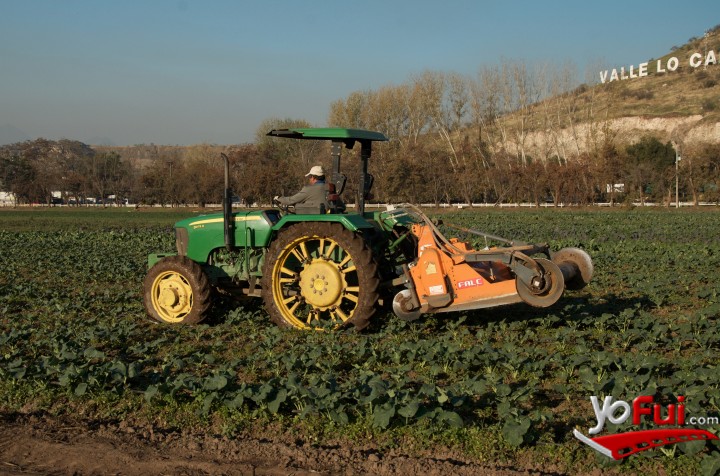 Campos de cultivo orgánico de Vegus