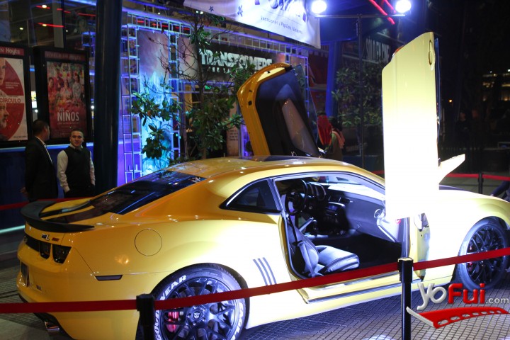 bumblebee