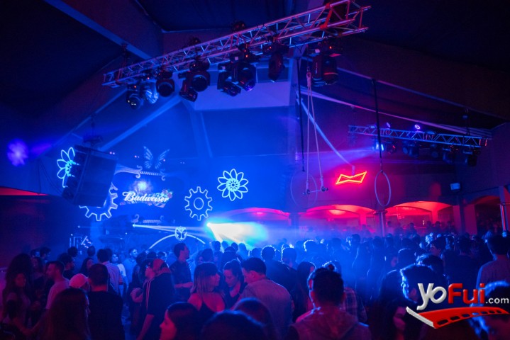 Fotografía en Tomorrowland, Vista Santiago