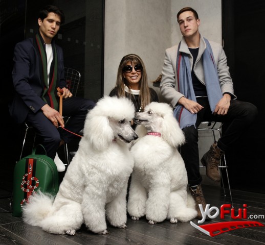 Cris Canal, Grace Wilson, Nico Vial