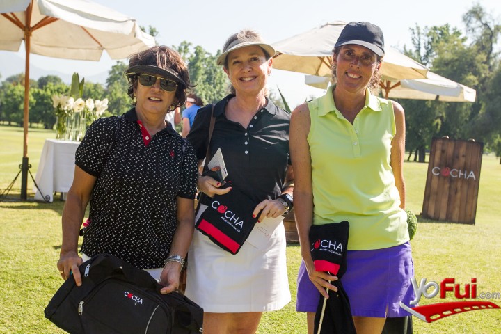 Cecilia Baeza, Patricia Gubbins, Constanza Donoso