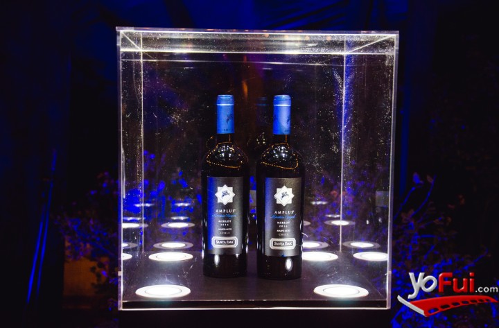 Nuevo Amplus Merlot