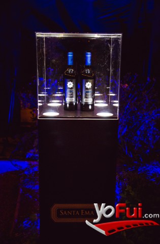 Nuevo Amplus Merlot